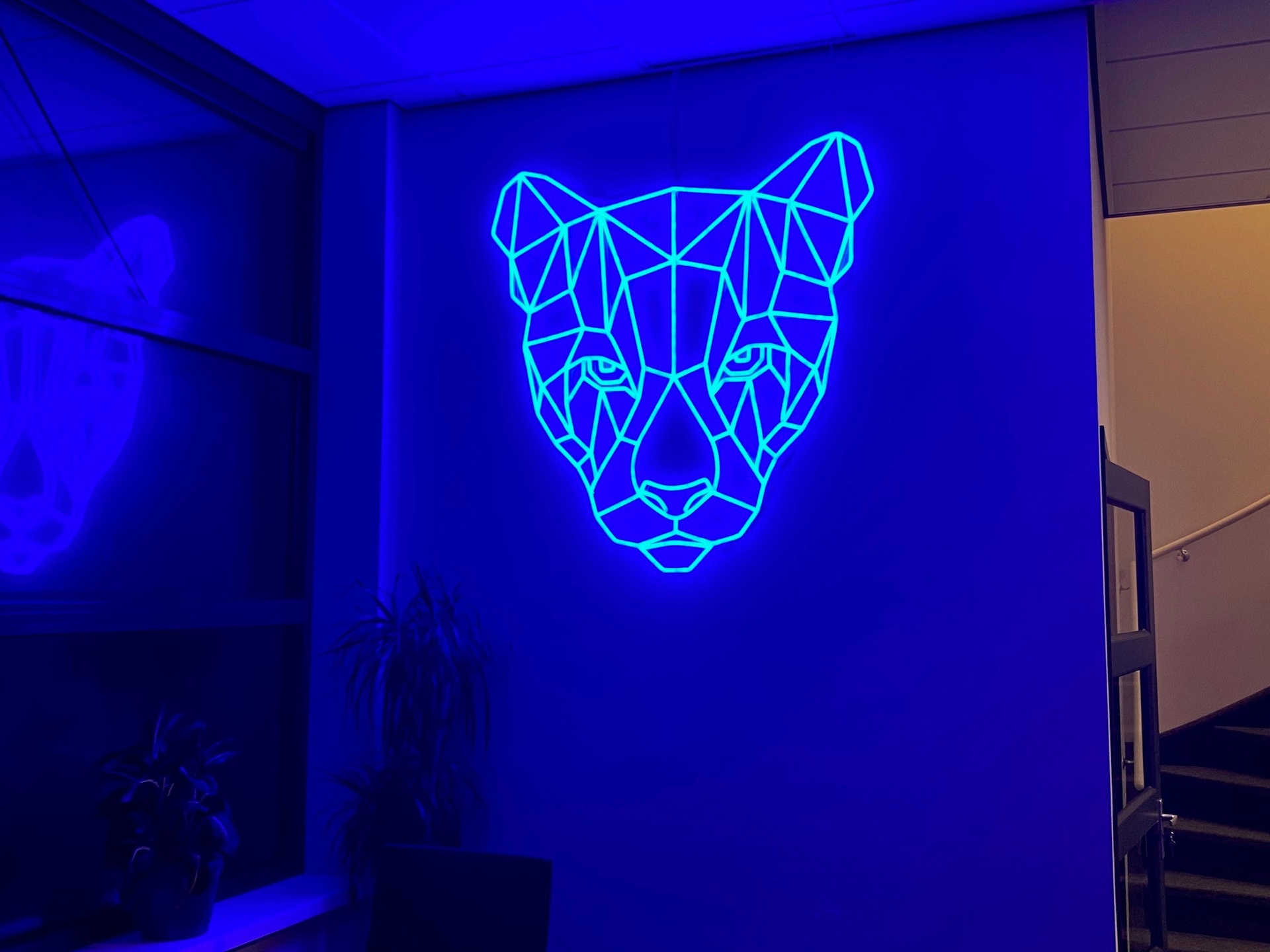 Neon Sign Kopen Betaalbare Led Neon Sign Neon Led Lichtreclame Lat Ledreclamebords Nl Indoor En Outdoor Led Lichtreclame Led Schermen Lichtkranten